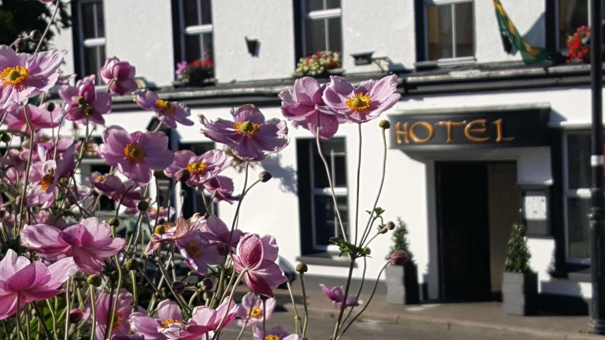 Nesbitt Arms Boutique Hotel Ardara Buitenkant foto